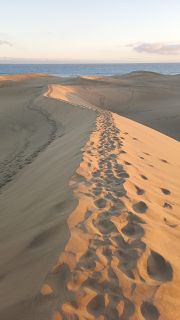 GC-Dunas de Maspalomas sunset 2026-140.jpg